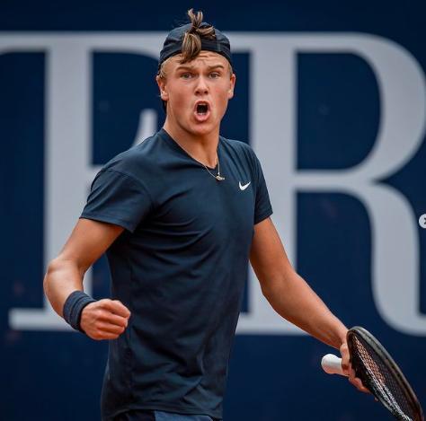 这种多样性 这种多样性