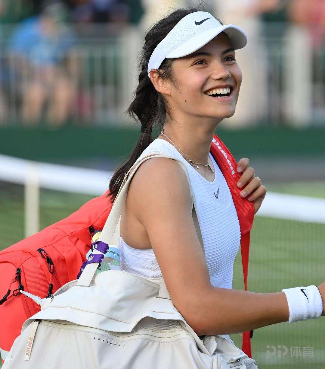 多次证明的 多次证明的