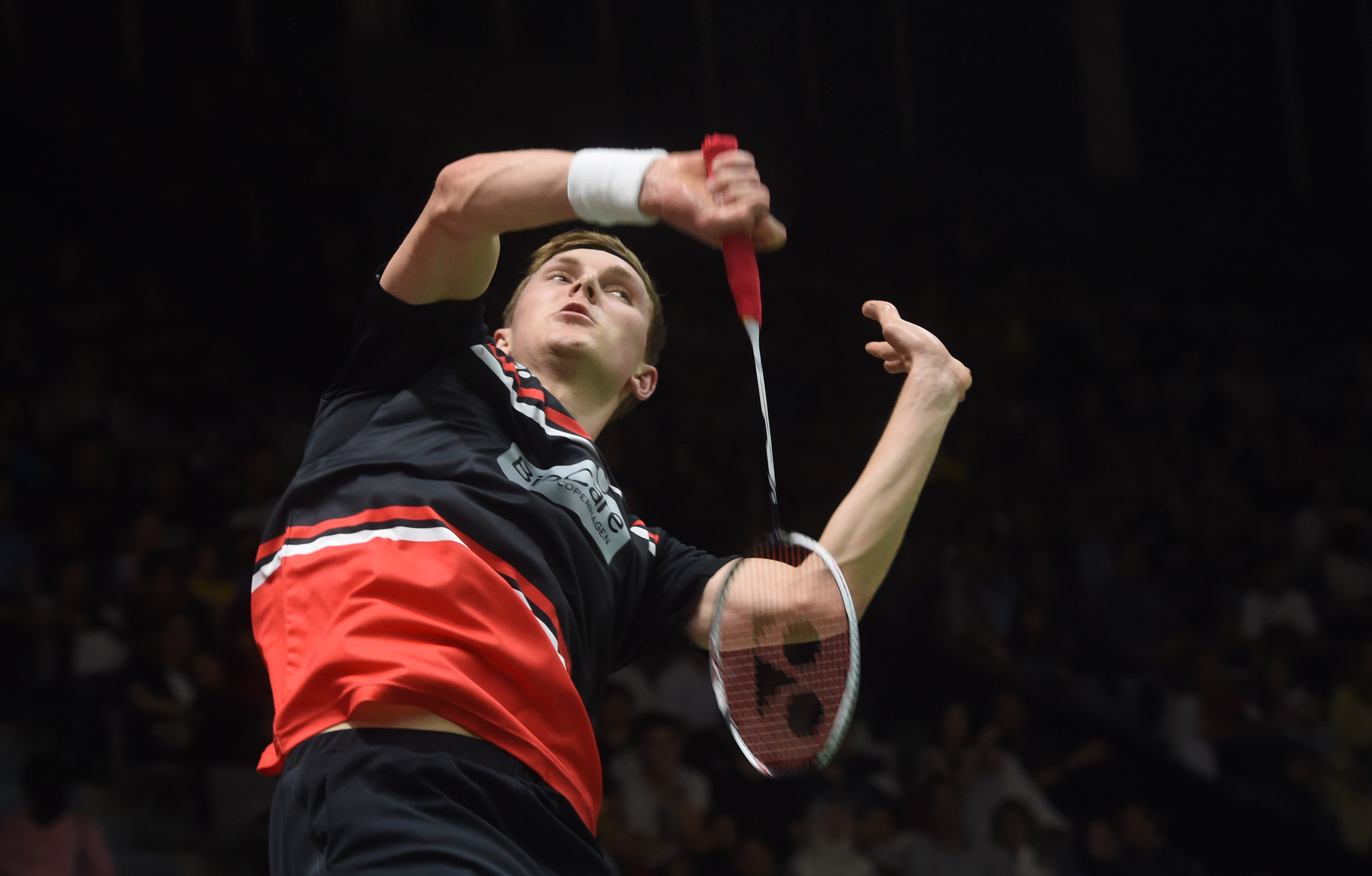 仅证明他在 仅证明他在